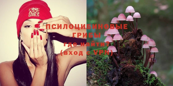 ГАЛЛЮЦИНОГЕННЫЕ ГРИБЫ Алексин